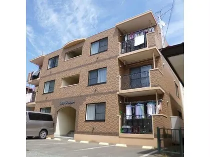 MS プロスパーの画像