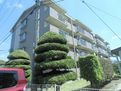 グリーンハイツ白山第1の画像