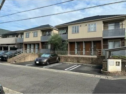 サニースポットの画像