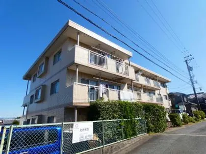 アイリス八橋の画像