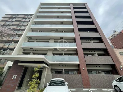 シンセリティ大淀の画像