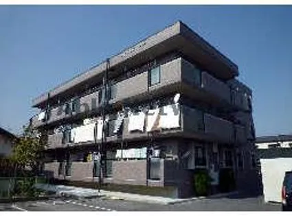 ロイヤルグリーンの画像