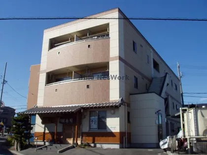 グレースエヌの画像