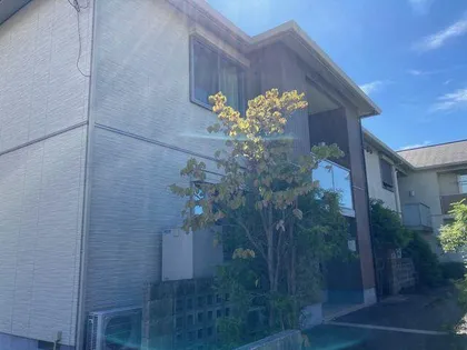 ハニー コナの画像