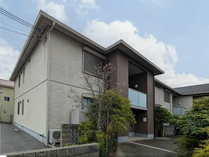 ハニー コナの画像