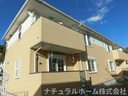 ヴィオラ多米の画像