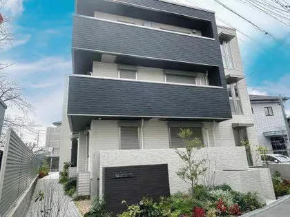 SOAREZOの画像