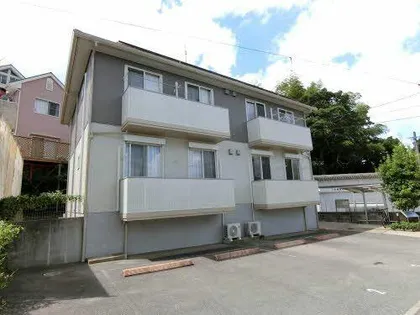 グレイスアコードの画像