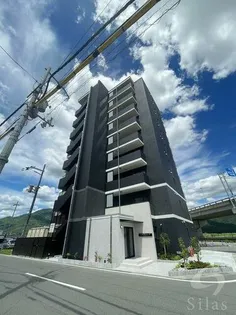 ココ クレメント Ⅱの画像