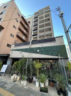 TKアンバーコート堺東Ⅱの画像