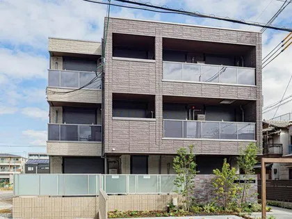 SHAMAISON PRECIOUSの画像