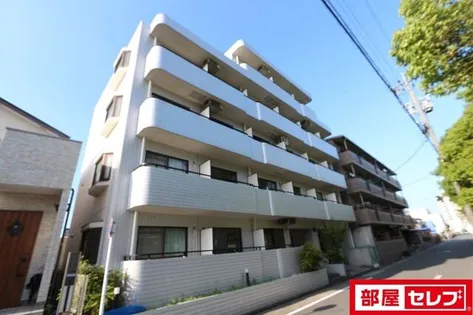 ハウザー高畑の画像