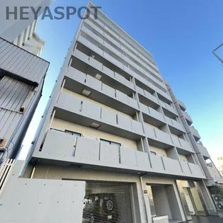 KAYA KIKUIの画像