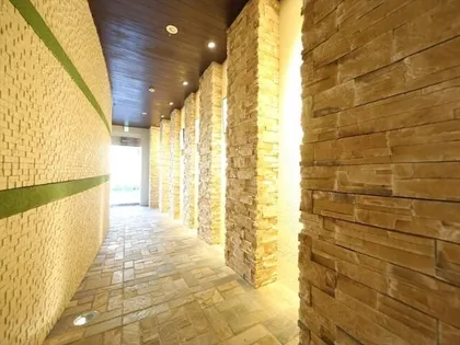 RIVO瑞穂通【3階】の玄関