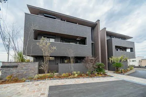 ルアナ ヒラの画像