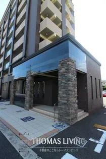 エヴァーグリーンOの画像