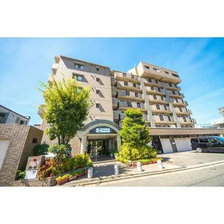 コスモコートの画像