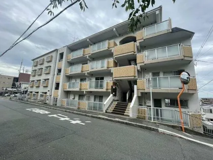 ドムール芝高の画像