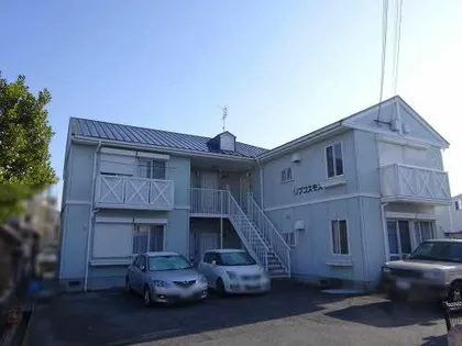 リブコスモスの画像