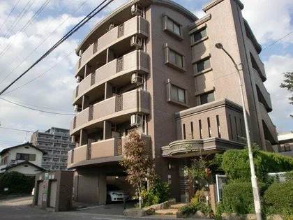 フォーエバー道頓堀の画像