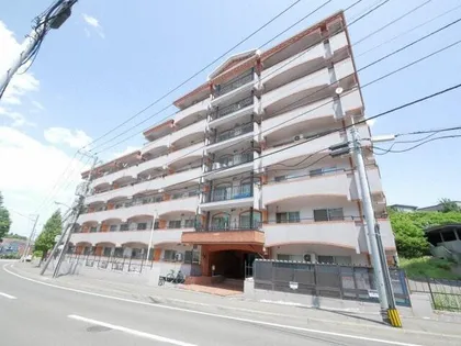 ドミローレル栗の実の画像