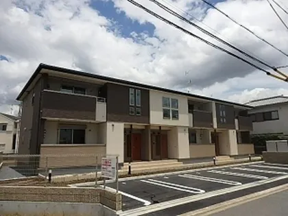バンブーアンの画像