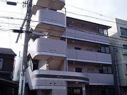 アヴリルの画像