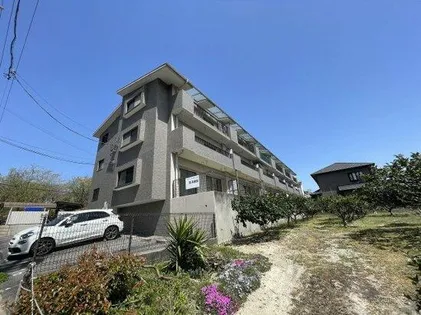 ドミール藤井【3階】の外観