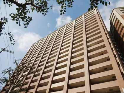 リーザス大阪の画像