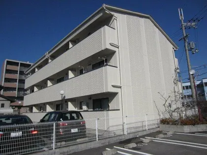エクセルサツキの画像