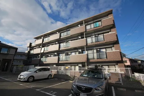 ロベリアコートの画像