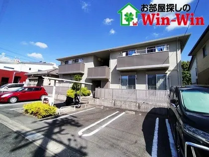 アルブル エストレジャの画像