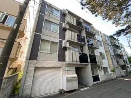 セルバテール南15条の画像