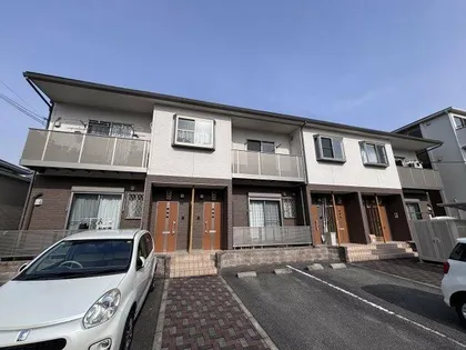 グレイス宝の画像