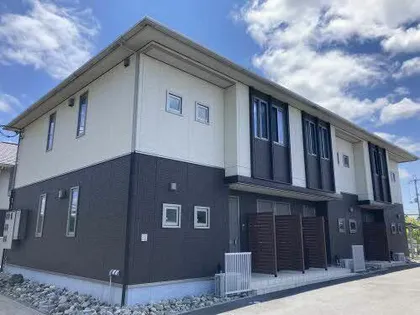 アルベロの画像