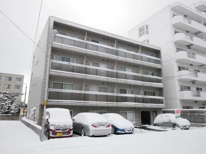 フォルテの画像