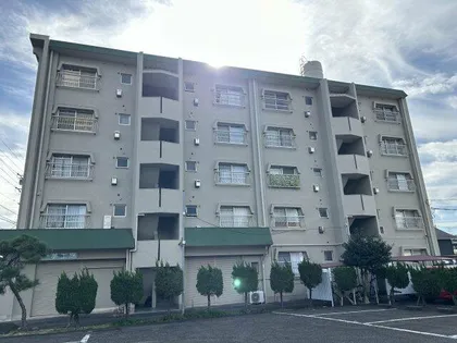 太田ハイム【501号室】の外観