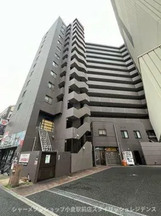 フィオレンティーナの画像