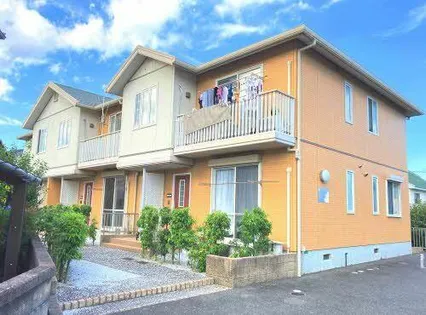 プリムローズ朽網の画像