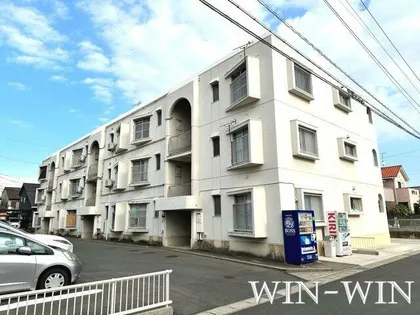 堂坂マンション【203号室】の外観