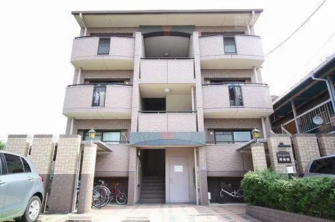 ドリームハイツ南堀越の画像