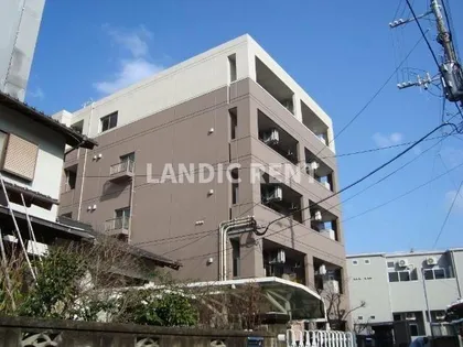 フェニックス和幸の画像