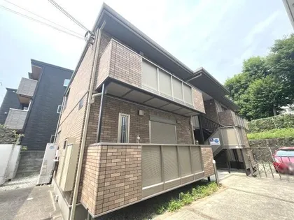 サザンクロスの画像