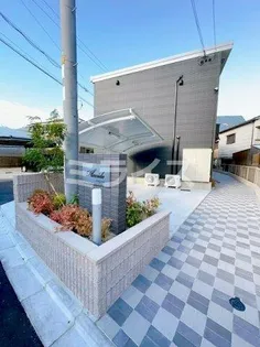 PLACIDEの画像