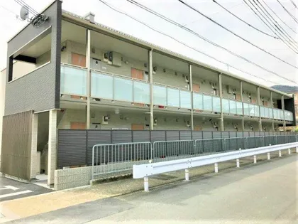 クレイノゆずりはの画像