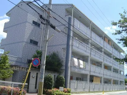 シュロスアリノの画像