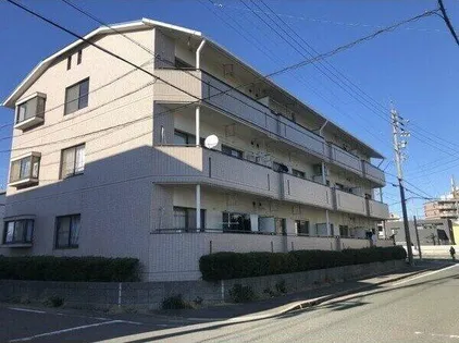 メモアール中花の画像