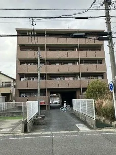 AMOUR MIWAの画像