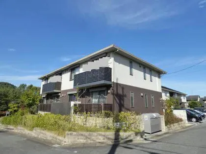 プリムローズの画像