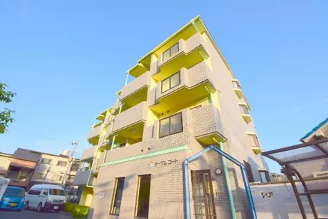 マーブルコートの画像